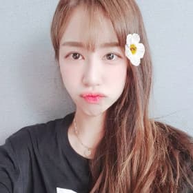알미4196