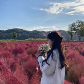 M쏭