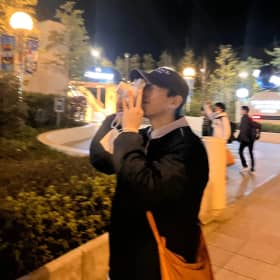 든든한코알라