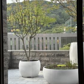 로브