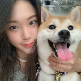 슈가영