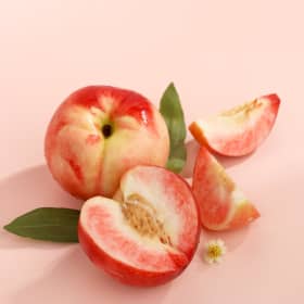 세상