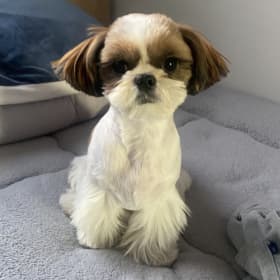 호영누나