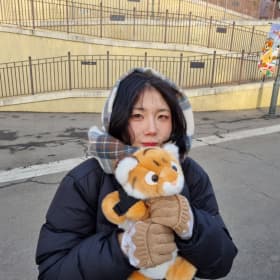 토라