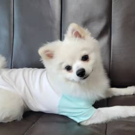 랑랑꾸