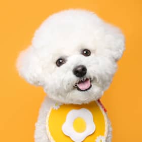 꼼모