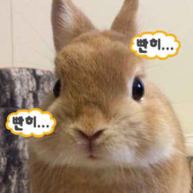 나아겨엉61