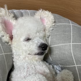 룹욤