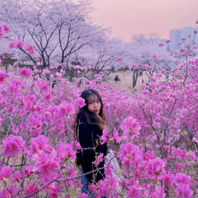 진필리