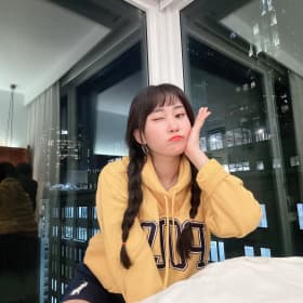 도요새