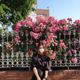 솔솔잉