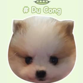 드라마쟁이