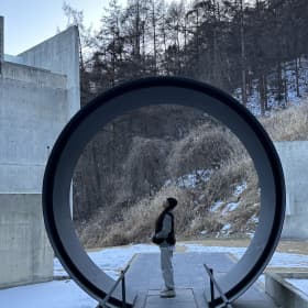 비바루