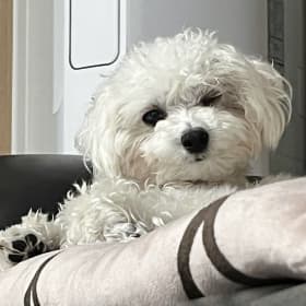 오복쿵