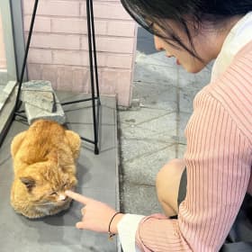 태희로애락