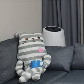 그냥이