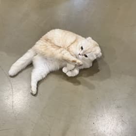 이츠