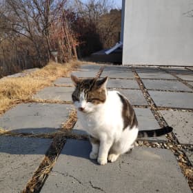 반해별