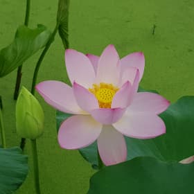 친절한코코언니