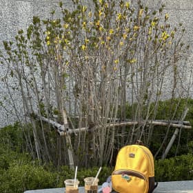 은아이유