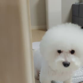 시리엄마