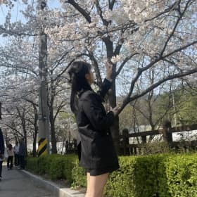 딩꾸