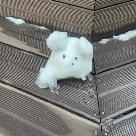 활기찬노린재
