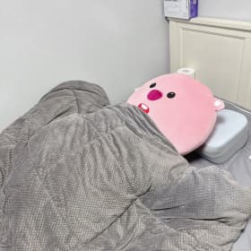 주주의스타일기