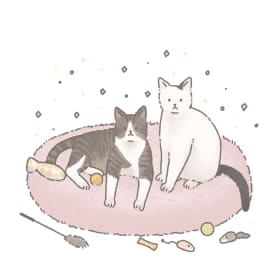 꿀콩이네