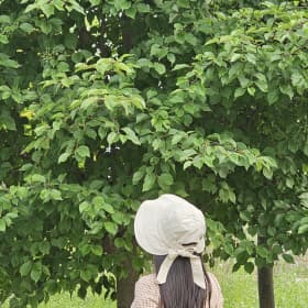 허니듀이