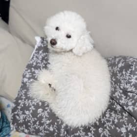 집콕방콕