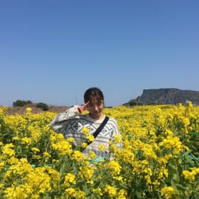 꽃포피