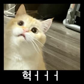 hkyeong