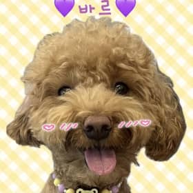 화미