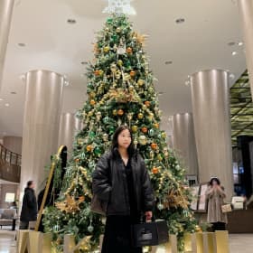 엘라이즈백