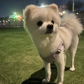 미무르맘