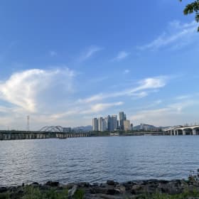 지뉴