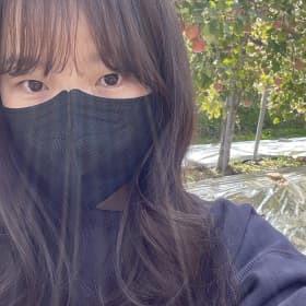 보떼1218