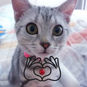 욱쏭