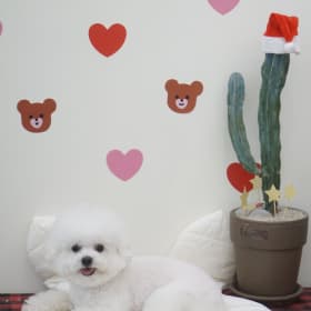 아메리카노좋아용
