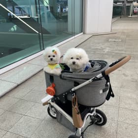 소금우유
