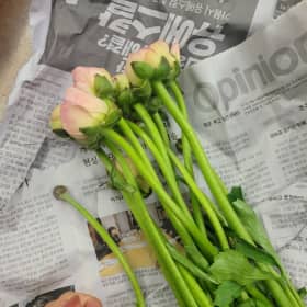 갬성파회사원