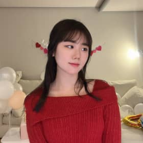 갸름한로봇