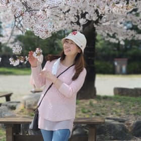 은파랑새