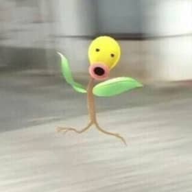 전쨩