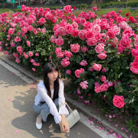 밍맹몽몽