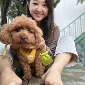 호냥냥이