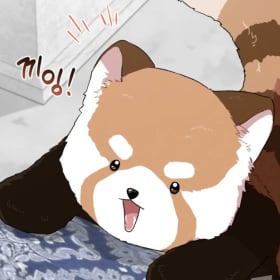 아리샤