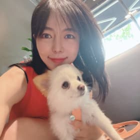 박카챠