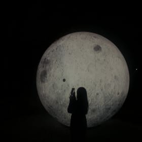 시나시나
